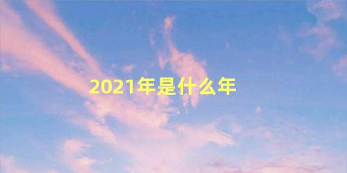 2021年是什么年