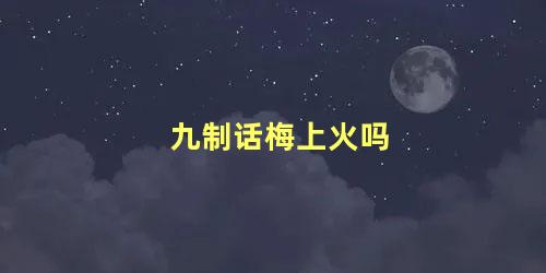 九制话梅上火吗