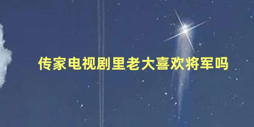 传家电视剧里老大喜欢将军吗