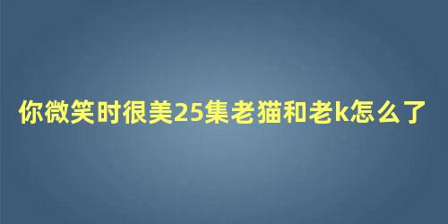 你微笑时很美25集老猫和老k怎么了