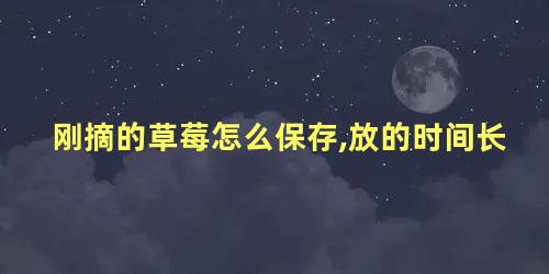 刚摘的草莓怎么保存,放的时间长