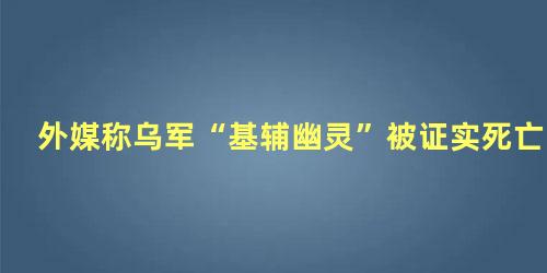 外媒称乌军“基辅幽灵”被证实死亡