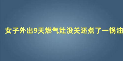 女子外出9天燃气灶没关还煮了一锅油