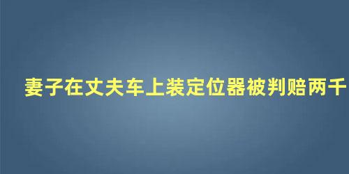 妻子在丈夫车上装定位器被判赔两千