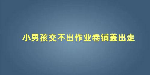 小男孩交不出作业卷铺盖出走