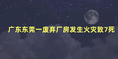 广东东莞一废弃厂房发生火灾致7死