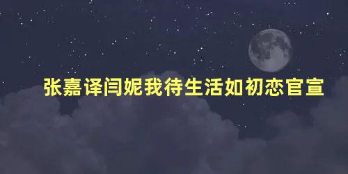 张嘉译闫妮我待生活如初恋官宣