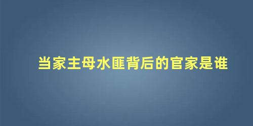 当家主母水匪背后的官家是谁