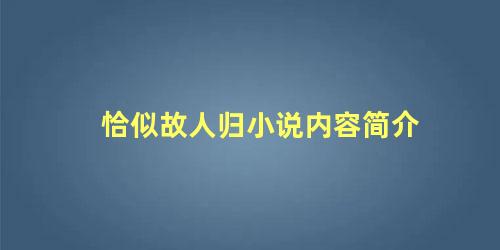 恰似故人归小说内容简介