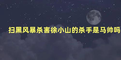 扫黑风暴杀害徐小山的杀手是马帅吗