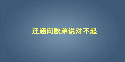 汪涵向欧弟说对不起