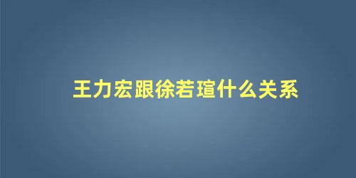 王力宏跟徐若瑄什么关系