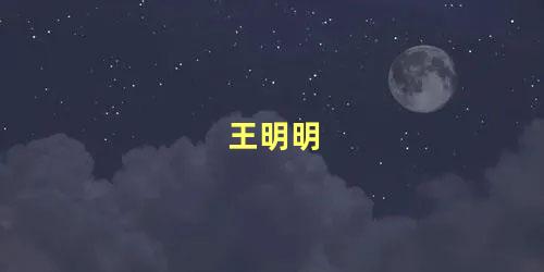 王明明