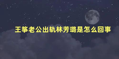 王筝老公出轨林芳璐是怎么回事