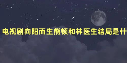 电视剧向阳而生熊顿和林医生结局是什么