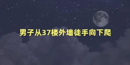 男子从37楼外墙徒手向下爬