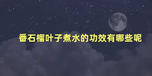 番石榴叶子煮水的功效有哪些呢