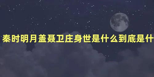 秦时明月盖聂卫庄身世是什么到底是什么人