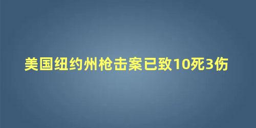 美国纽约州枪击案已致10死3伤