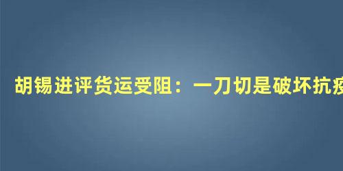 胡锡进评货运受阻：一刀切是破坏抗疫