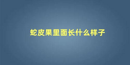 蛇皮果里面长什么样子