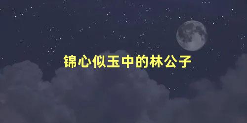 锦心似玉中的林公子