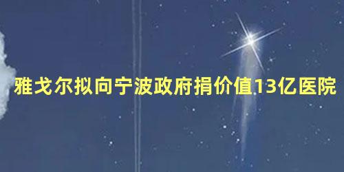 雅戈尔拟向宁波政府捐价值13亿医院