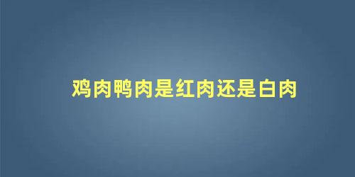 鸡肉鸭肉是红肉还是白肉