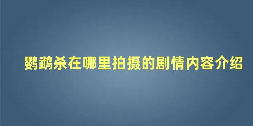 鹦鹉杀在哪里拍摄的剧情内容介绍