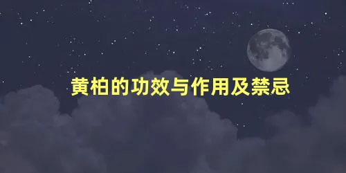 黄柏的功效与作用及禁忌