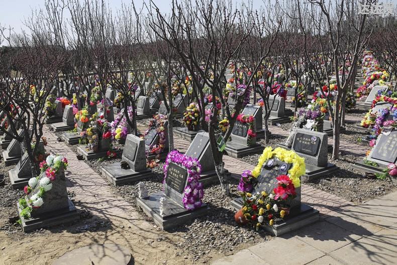 清明节祭扫