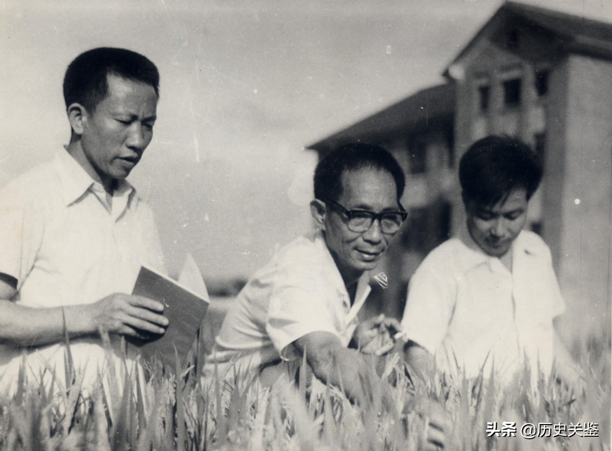 “杂交水稻之父”袁隆平，折服日本人，令美日德惊讶羡慕的科学家