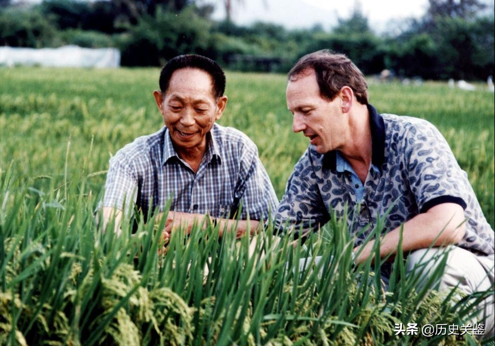 “杂交水稻之父”袁隆平，折服日本人，令美日德惊讶羡慕的科学家