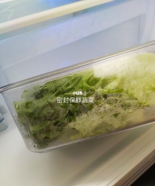 生菜不放冰箱怎么保存