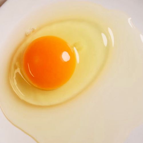 无菌鸡蛋可以生吃吗