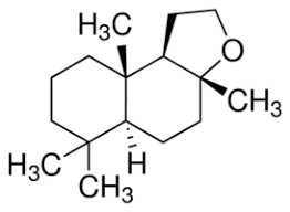 龙涎香是什么东西多少钱